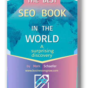 The Best Seo Book in the World